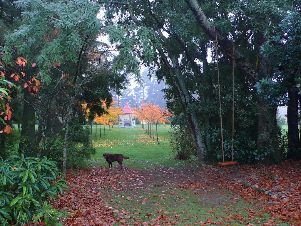 Gunyah Country Estate Villa Windwhistle Luaran gambar